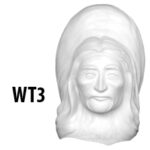 WT3