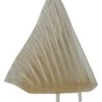 Anal And Dorsal Fins Steelhead/Rainbow Trout