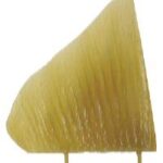 Anal And Dorsal Fins Walleye