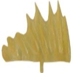 Anal And Dorsal Fins Smallmouth Bass