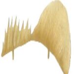 Anal And Dorsal Fins Smallmouth Bass