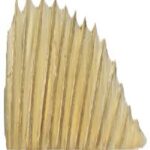 Anal And Dorsal Fins Walleye