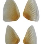 Pectoral And Pelvic Fins Rainbow/Steelhead Trout