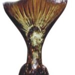 Reproduction Halibut Tail