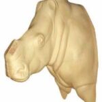 Rhino