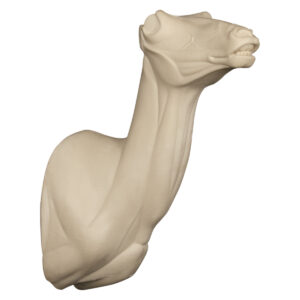 Antelope Specialty Pose Upright - 8" x 12 1/8" x 15"