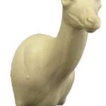Chamois