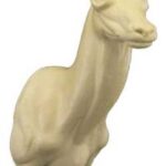 Chamois