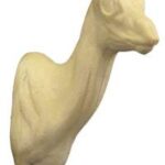 Dik-Dik