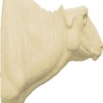 Buffalo