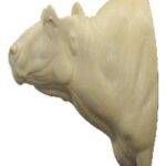 Buffalo