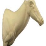 Hartebeest