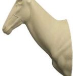 Hartebeest