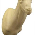 Ibex