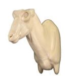 Ibex
