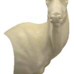 Sable