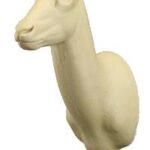 Springbok