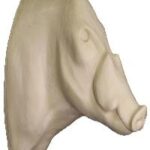 Bushpig