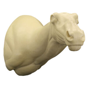 Alaskan Caribou Wall Mount