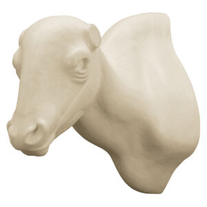 Frazier's Buffalo Wall Mounts