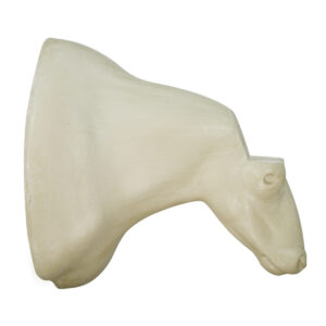 Musk Ox Shoulder Mount 12 5/8" x 22" x 35 1/2"