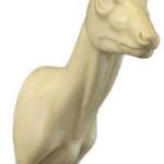 Duiker