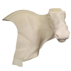 Canadian Moose Hard Turn Pedestal 18" x 28" x 36"