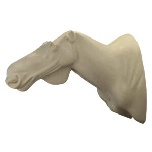 Weickum's Alaskan Moose Sneaks Wall Mount