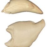 Striped/Hybrid Bass Body