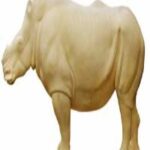 Rhino
