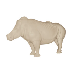 Rhino Standing