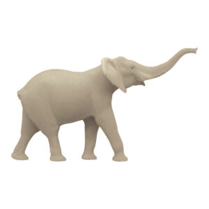 Elephant Trunk High