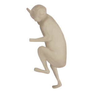 Bush Baby Climbing
