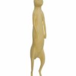 Suricate