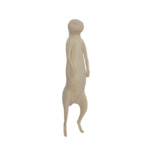 Suricate Standing on Hind Legs