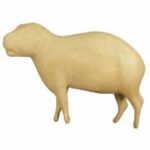 Capybara