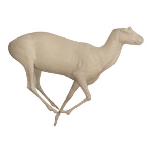 Blackbuck Running