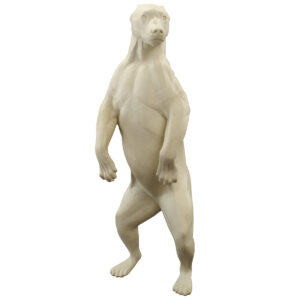 Black Bear Standing Upright