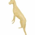 Dingo