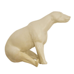 Black Bear Sitting