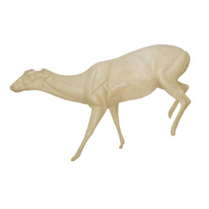 Axis Deer Running
