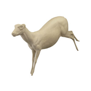 Brocket Deer Jumping Down
