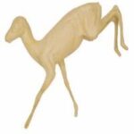 Dik Dik