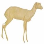 Dik Dik
