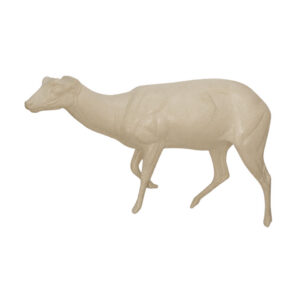 Hog Deer Walking Head Low
