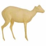 Duiker