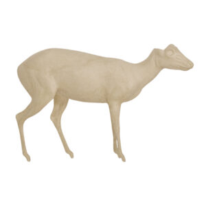 Red Duiker Walking