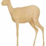 Duiker