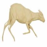 Duiker