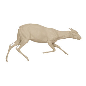 Red Duiker Sneaking